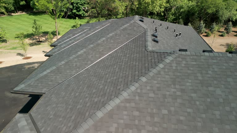 Best Roof Moss and Algae Removal  in Chesapeake, WV